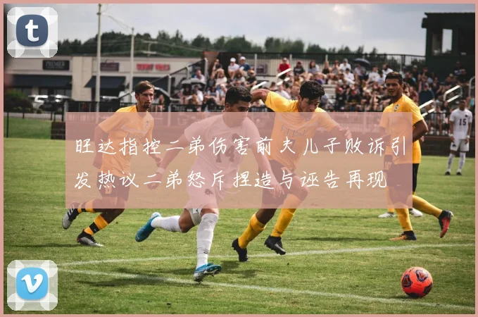 旺达指控二弟伤害前夫儿子败诉引发热议二弟怒斥捏造与诬告再现