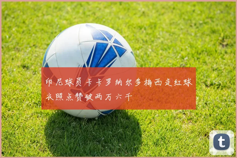 印尼球员卡卡罗纳尔多梅西走红球衣照点赞破两万六千